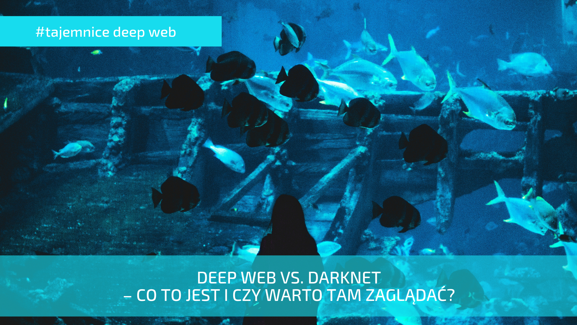 deeb web vs darknet